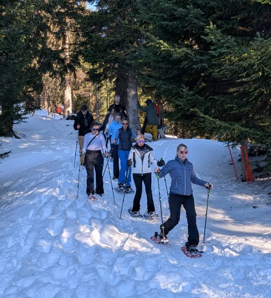 Snowshoe group experience in Champéry with guide
