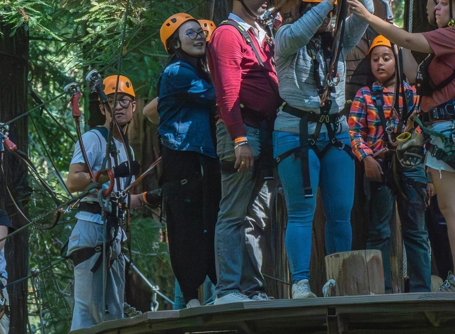 Accrobranche — Tree Rope Courses